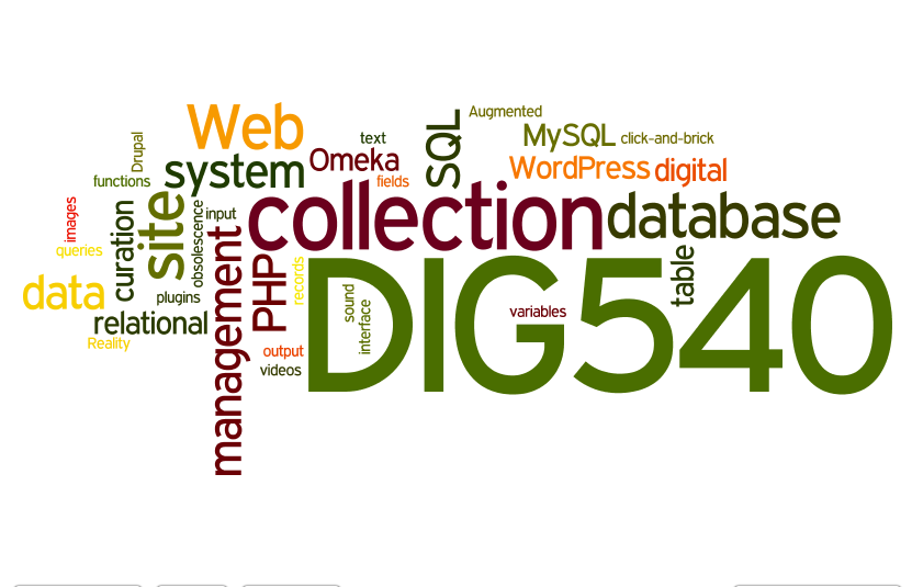 Dig540 Wordle Tag Cloud Warm